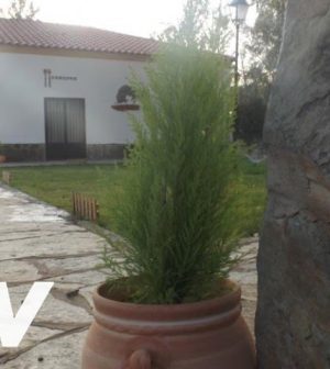 alojamientos-turisticos-en-Llerena | Upitravel alojamientos turísticos en Llerena