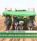 alojamientos turísticos en 	Pueblonuevo del Guadiana