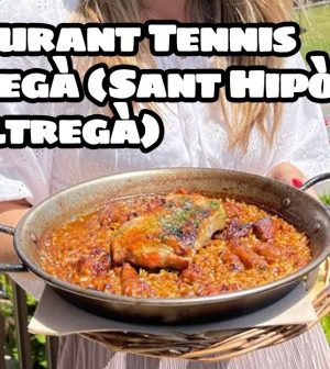 hoteles en 	Sant Hipòlit de Voltregà