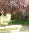 visitar 	Alfoz de Quintanadueñas