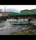 visitar 	Barbadillo del Pez