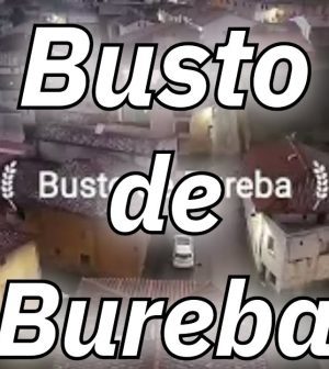visitar-Busto-de-Bureba | Upitravel visitar Busto de Bureba