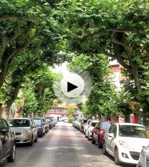 visitar 	Cabezón de la Sierra