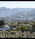visitar 	Cogollos