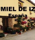 visitar 	Gumiel de Izán