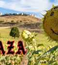 visitar 	Haza