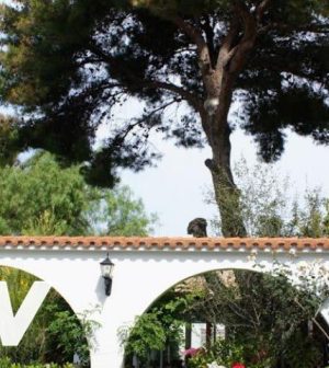 alojamientos-turisticos-en-Ciutadella-de-Menorca | Upitravel alojamientos turísticos en Ciutadella de Menorca