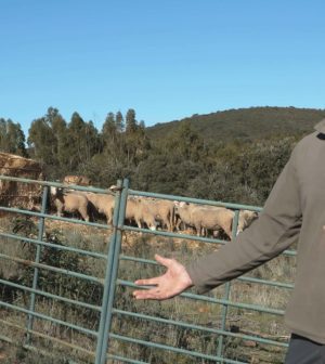 alojamientos turísticos en 	Retamal de Llerena