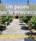 visitar 	Mambrilla de Castrejón