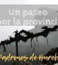 visitar 	Padrones de Bureba