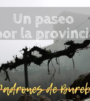 visitar-Padrones-de-Bureba | Upitravel visitar Padrones de Bureba