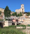 visitar 	Pampliega