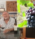 visitar 	Pedrosa de Duero