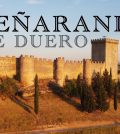 visitar 	Peñaranda de Duero