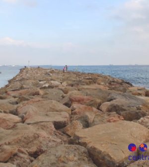 visitar 	Pineda Trasmonte