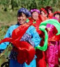 El Festival de la Cosecha en China