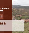 visitar 	Torrelara
