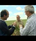 visitar 	Villamayor de Treviño