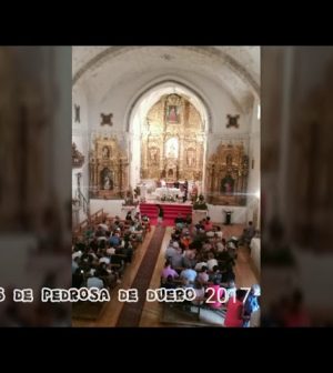 hoteles en 	Pedrosa de Duero