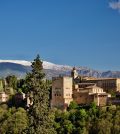 Vino de Granada: Enoturismo en un destino con historia y sabor