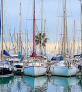 Razones para visitar el puerto de Palma de Mallorca