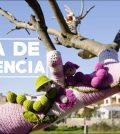 visitar 	Oliva de Plasencia