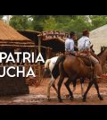 El Festival de la Tradición Gaucha en Argentina: Campo y Cultura