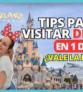 qué estrategias funcionan mejor para mejorar la visita a Cómo maximizar el tiempo en cada atracción de Eurodisney