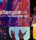 El Festival de la Canción en Viña del Mar: Talento y Celebración en Chile