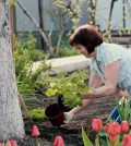 El Día de la Madre en Estados Unidos: Celebración y Gratitud