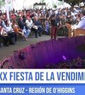 La Fiesta de la Vendimia en Santa Cruz: Vino y Cultura en Bolivia
