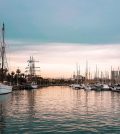 Barcelona port at twilight | Upitravel Marina at sunset with sailboats docked along both sides and palm trees lining the shore.