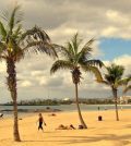 El turismo en Lanzarote y la búsqueda de alojamientos tranquilos en entornos volcánicos - Palm trees line a sandy beach with people sunbathing and strolling by the calm sea.