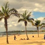 El turismo en Lanzarote y la búsqueda de alojamientos tranquilos en entornos volcánicos - Palm trees line a sandy beach with people sunbathing and strolling by the calm sea.