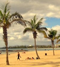 El turismo en Lanzarote y la búsqueda de alojamientos tranquilos en entornos volcánicos - Palm trees line a sandy beach with people sunbathing and strolling by the calm sea.